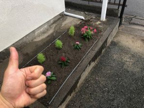 植え替えもいいね！