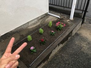 植え替えもいいね！